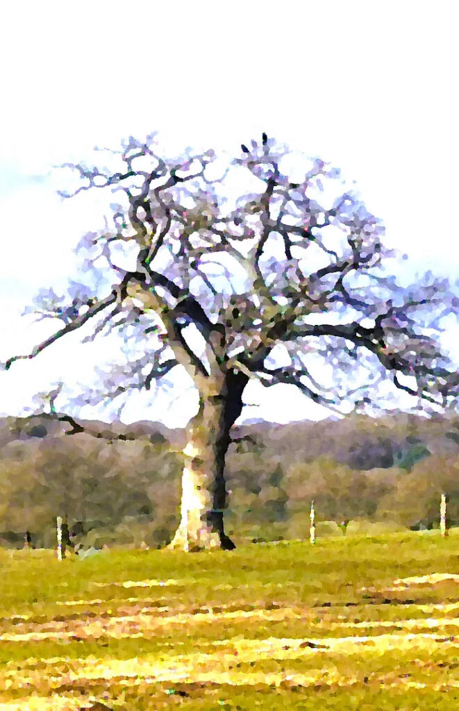 Tree painting